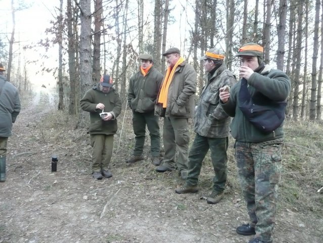 Polow. Zarzadow Odyniec 2008